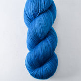 Echo Partial Skeins - Miss Babs Katahdin yarn