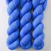 Eminence - Miss Babs Yummy 2-Ply superwash Merino wool yarn