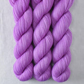 Ergosphere - Miss Babs Putnam Merino wool and nylon sock yarn
