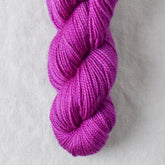 Ferris Wheel - Miss Babs Yummy 2-Ply Toes superwash Merino wool yarn
