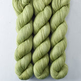 Fiddlehead - Miss Babs Caroline merino-cashmere-nylon yarn