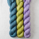 Fiddlehead, Purple Urchin, Suspense - Miss Babs Yowza Mini Trio