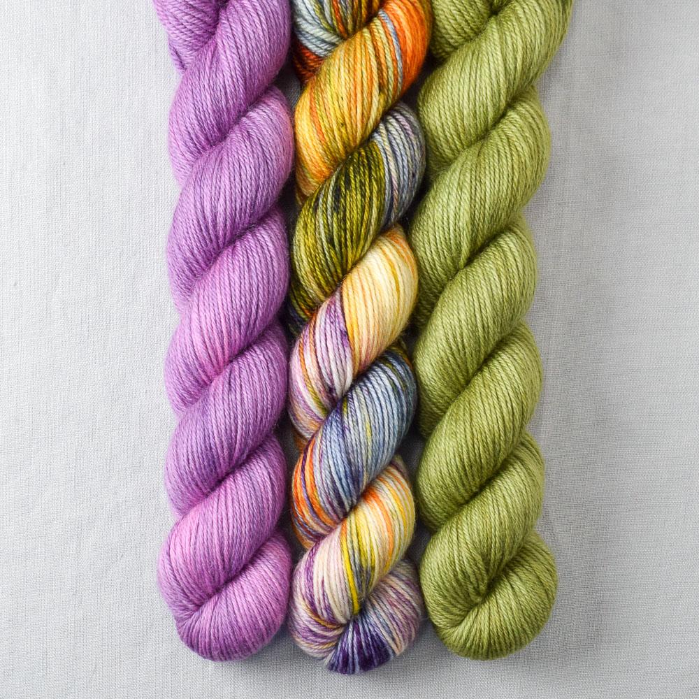 Fiddlehead, Salvia, Soul Food - Miss Babs Yowza Mini Trio