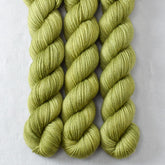 Fiddlehead - Miss Babs Yowza Mini superwash Merino wool yarn