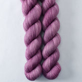 Fig - Miss Babs Katahdin 437 superwash BFL wool yarn