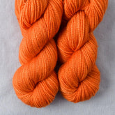 Flare - Miss Babs Yummy 2-Ply Toes superwash Merino wool yarn