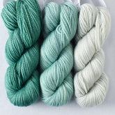 Floral Fade Set: Coastal, Oceanic, Seaside - Miss Babs Toe Trio