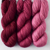 Floral Fade Set: Dark Canis Major, Sirius, Furud - Miss Babs Toe Trio