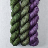 Focus, Fortify, Rejuvenate - Miss Babs Yowza Mini Trio
