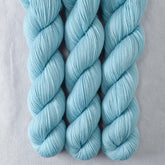 Forever - Miss Babs Putnam Merino wool and nylon sock yarn