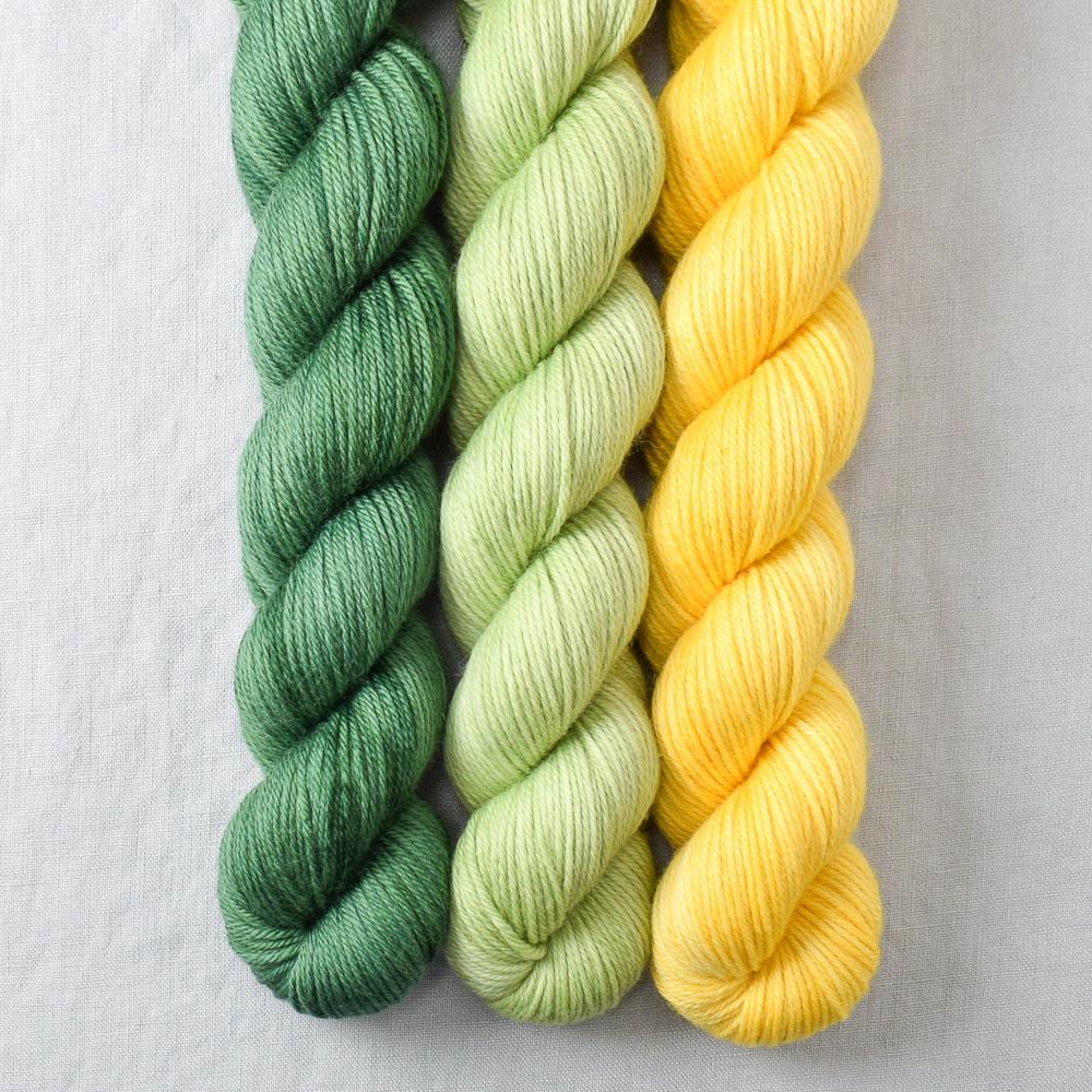 Fraser, Spring Green, Sunny - Miss Babs Yowza Mini Trio