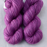 Frasquita - Miss Babs Yummy 2-Ply Toes superwash Merino wool yarn