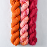 French Marigold, Scarlet Pimpernel, Spotted Flowers - Miss Babs Pillowy Cowl Set