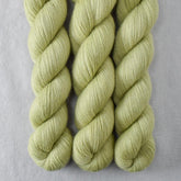 Frog Belly - Miss Babs Katahdin 437 superwash BFL wool yarn