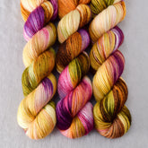 Garden Party - Miss Babs Katahdin 437 superwash BFL wool yarn