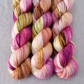 Garden Party - Miss Babs Tarte wool blend sock yarn