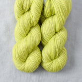 Ginkgo - Miss Babs Yummy 2-Ply Toes superwash Merino wool yarn