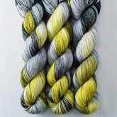 Goblins and Ghouls - Miss Babs Estrellita fingering weight superwash merino and Lurex yarn