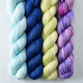 Heading Home, McHale's, Pawdon Me, Purple Mountains - Miss Babs Yet Quartet