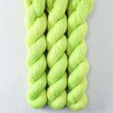 Hijinx - Miss Babs Katahdin 437 superwash BFL wool yarn