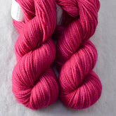 Hot To Trot - Miss Babs Yummy 2-Ply Toes superwash Merino wool yarn