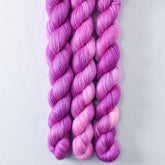 Impatiens - Miss Babs Sojourn cashmere and silk yarn