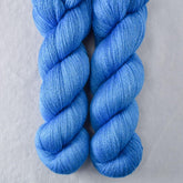 Indigo Bunting - Miss Babs Yearning yarn