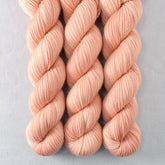 In for a Penny - Miss Babs Yummy 2-Ply superwash Merino wool yarn