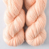In for a Penny - Miss Babs Yummy 2-Ply Toes superwash Merino wool yarn