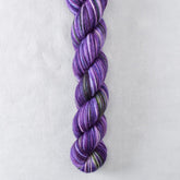 Irises - Miss Babs Yowza Mini superwash Merino wool yarn