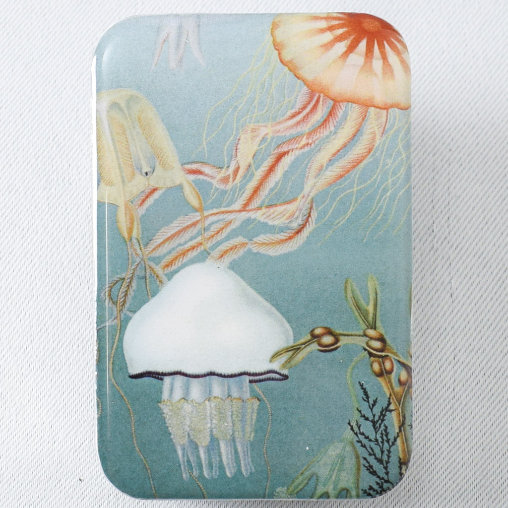 Jellyfish Tin - Miss Babs Notions