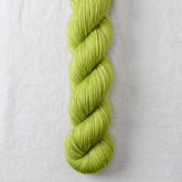 Kelp Forest - Miss Babs Yummy 2-Ply superwash Merino wool yarn