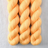 Kumquat - Miss Babs Yummy 2-Ply superwash Merino wool yarn