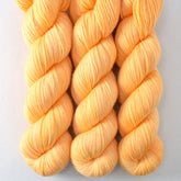 Kumquat - Miss Babs Tarte wool blend sock yarn