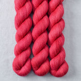 Lady Bug - Miss Babs Yet yarn