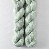 Lakeshore - Miss Babs Yummy 2-Ply superwash Merino wool yarn