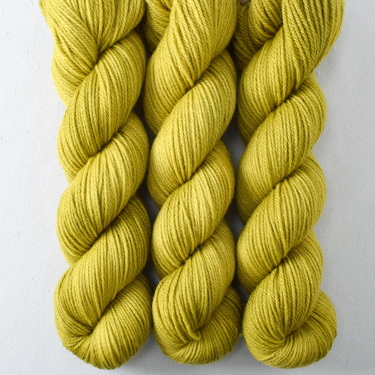 Makrut Lime - Miss Babs Intrepid yarn