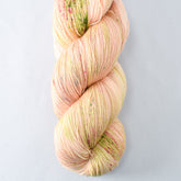 Mellow Apricot - Miss Babs Katahdin yarn