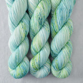 Mojito - Miss Babs Putnam Merino wool and nylon sock yarn