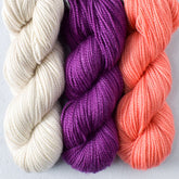 Mystery Gnome Trio: Plover, Boysenberry, Correa - Miss Babs Toe Trio