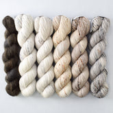 Neutral with Obsidian - Miss Babs Lace and Fade Boxy Set