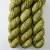 Organdy - Miss Babs Yummy 2-Ply superwash Merino wool yarn