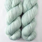 Palm Valley - Miss Babs Yowza superwash Merino wool yarn