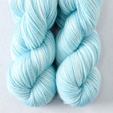 Pawdon Me - Miss Babs Yummy 2-Ply Toes superwash Merino wool yarn