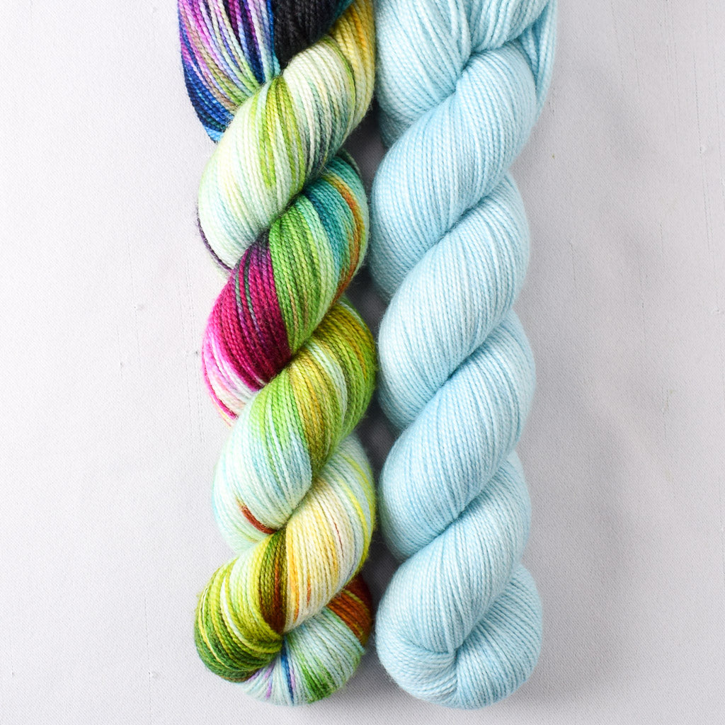 Pawdon Me, Ziggy Stardust - Miss Babs 2-Ply Duo