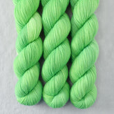 Peas in a Pod - Miss Babs Yummy 2-Ply superwash Merino wool yarn