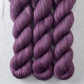 Persuasion - Miss Babs Tarte wool blend sock yarn