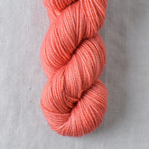 Pigs Fly - Miss Babs Yummy 2-Ply Toes superwash Merino wool yarn