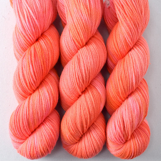 Pink Grapefruit - Miss Babs Intrepid yarn