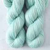 Planet - Miss Babs Yummy 2-Ply Toes superwash Merino wool yarn